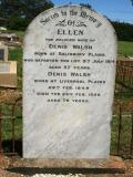 image of grave number 895404